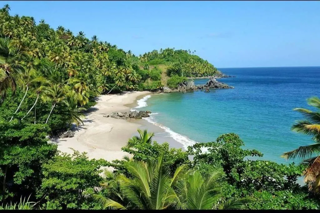 Perfect Paradise, Oceanview In Samana