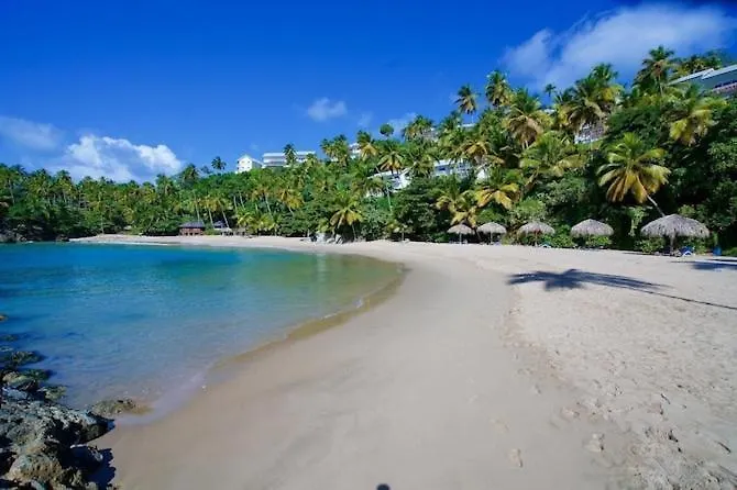 Perfect Paradise, Oceanview In Samana