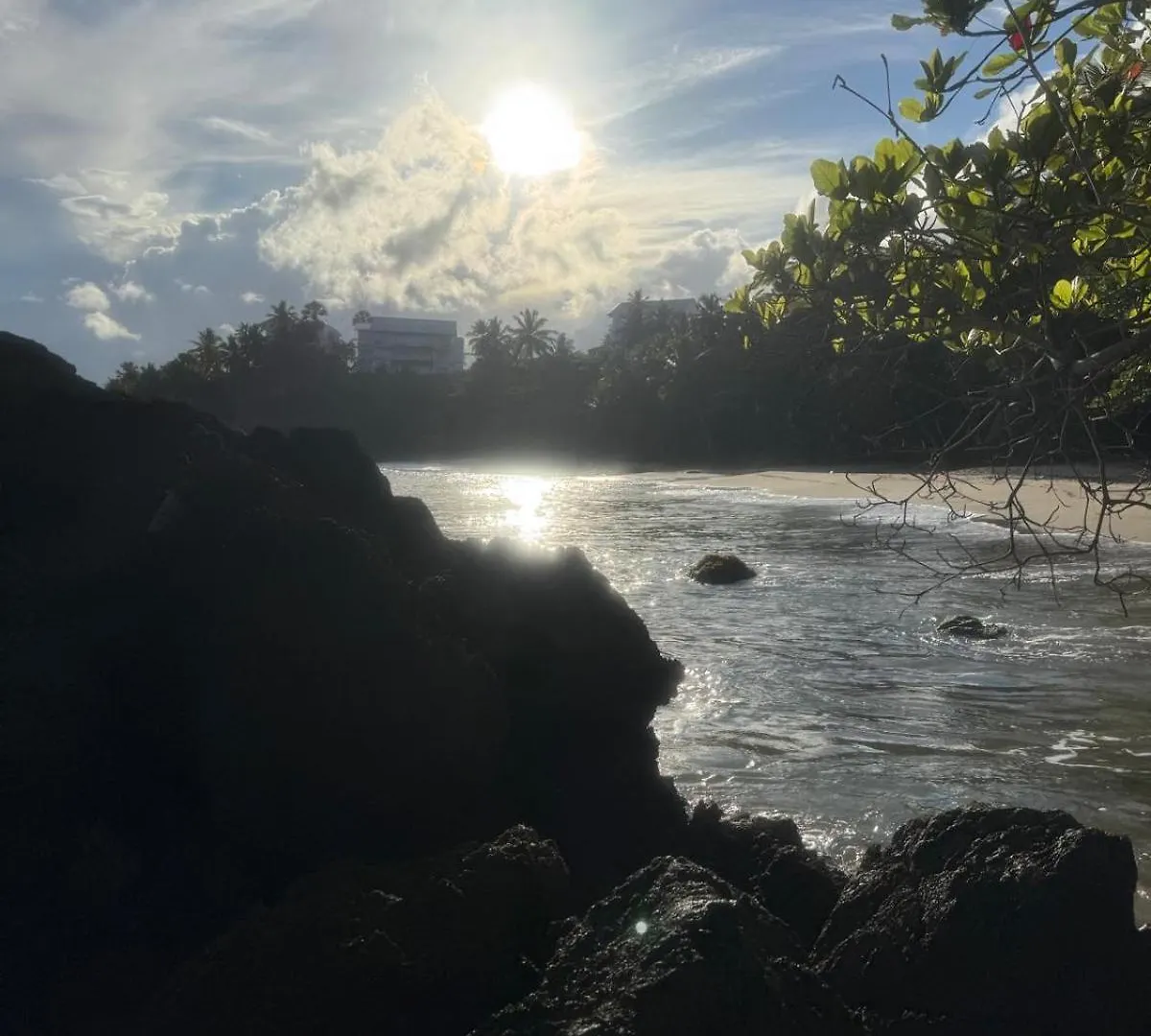 Apartment Perfect Paradise, Oceanview In Samana Dominican Republic