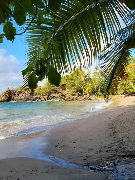 Apartment Perfect Paradise, Oceanview In Samana